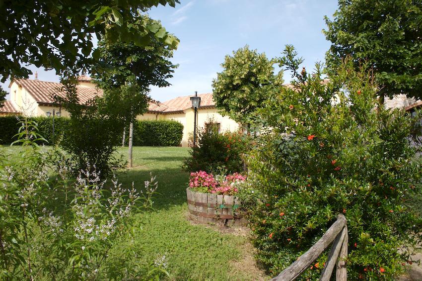 Agriturismo Collepina Amelia Exterior photo