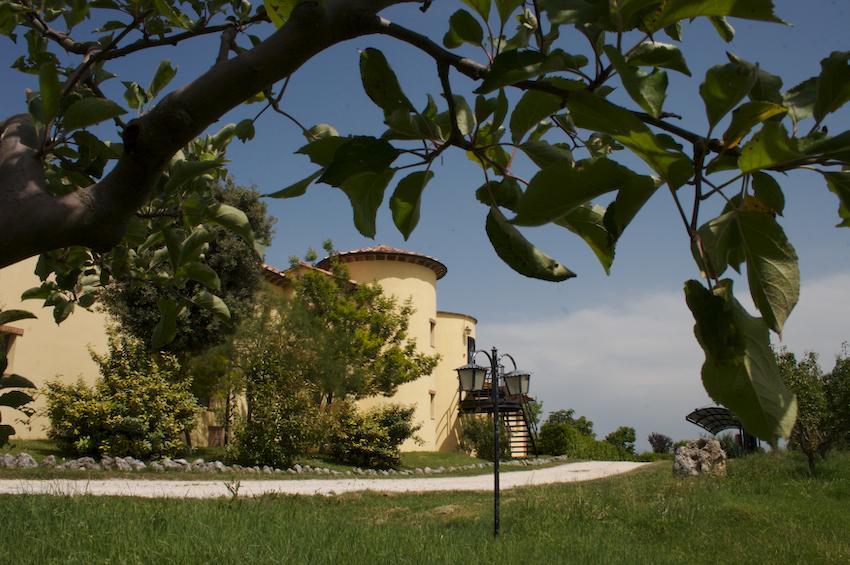Agriturismo Collepina Amelia Exterior photo