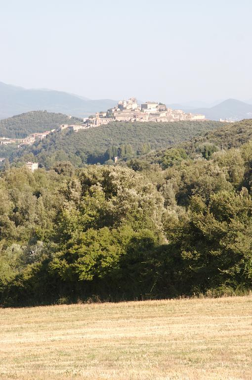 Agriturismo Collepina Amelia Exterior photo